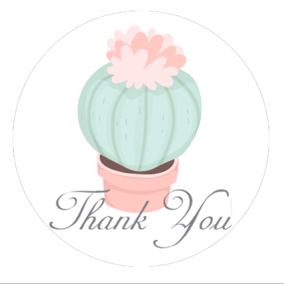 60 2.5” Succulent Stickers CLEARANCE - Picture 5 of 5